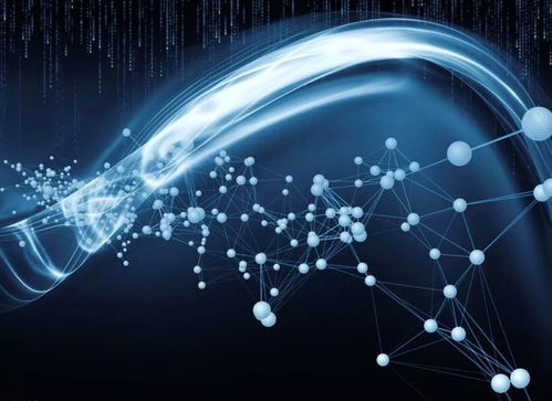 攜手共進 中歐關系穩(wěn)中向好，以網絡信息技術賦能人類命運共同體